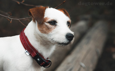 Hurtta Casual Hundehalsband mit Neoprenpolsterung