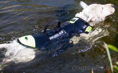 Sichere Unterstützung bei Wasseraktivitäten