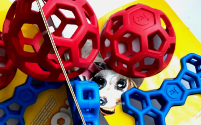 JW Pets Hol-ee Duo Ball + Bone