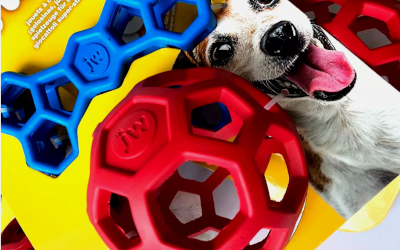 Stabiles Hundespielzeug im Set - Hol-ee Ball + Hol-ee Bone