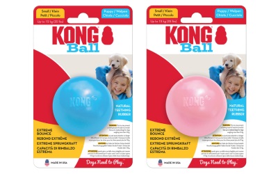 KONG Puppy Ball w/ Hole