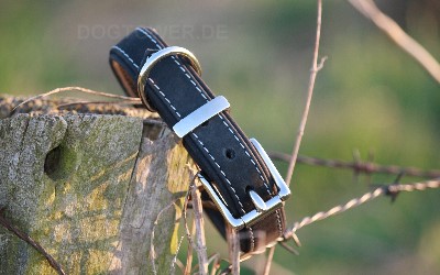 Leder Hundehalsband, schwarz