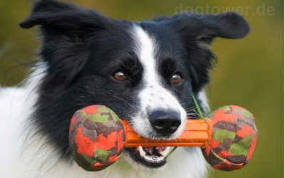 Major Dog Spielzeug für mittelgroße Hunde