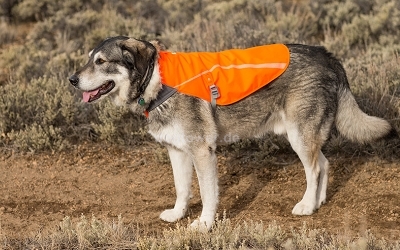 Ruff Wear Sicherheitsweste Track Jacket, Hunde Sicherheitsweste, Warnweste  - Hund & Freizeit