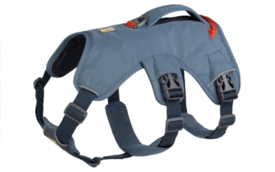 Ruffwear Web Master Harness Hundegeschirr, slate blue