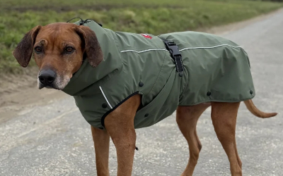 Wasserdichter- und winddichter Schutz für Ihren Hund