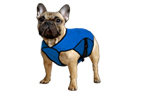 Aqua Coolkeeper Cooling Pet Jacket Kühljacke, pacific blau