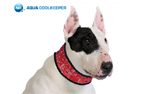 Aqua Coolkeeper Cooling Collar Hundehalsband, red western