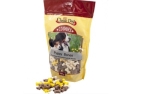 Classic Dog Snack Cookies Puppy Bones