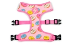Dashi Donut Neo Mesh Harness