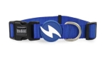 Dashi Solid Blue Collar