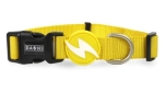 Dashi Solid Yellow Collar