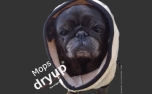 DRYUP cape Mops & Co Hundebademantel, sand