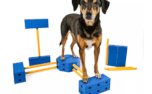 Fit Paws Fit Kinect Xtra Trainingssystem für Hunde