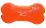 FitPAWS® CanineGym® K9FITbone orange