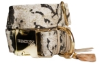 Frimousse Hundehalsband Vasco 