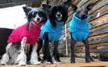 rukka Wooly Knitwear Hundepullover, pink