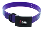 I-DOG Halsband PREMIUM violett