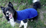 iqo Thermo-Fleece Hundepullover Comfy (inkl. Reflektoren), marineblau