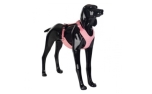 Paikka Hundegeschirr reflektierend Visibility Harness pink