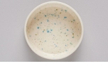 The Painter´s Wife Dog Bowl Dripping Pastel