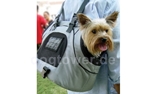 Petego Universal Hundetransporttasche