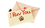 P.L.A.Y. Pet Lifestyle and You Lovebug Love Letter
