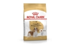 Royal Canin Cavalier King Charles Adult Trockenfutter