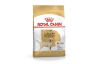 Royal Canin Labrador Retriever Adult