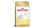 Royal Canin Pudel Junior