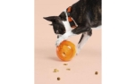 United Pets Tumbler Treat Puzzle Toy Orange