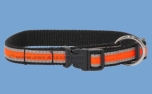 Weltmeisters Dogfood Dogsport Halsband Fox mit Schnellverschluss, schwarz-orange