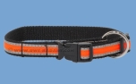 Weltmeisters Dogfood Dogsport Halsband Sport mit Schnellverschluss, schwarz-orange