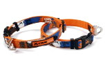 Xtremo Hundehalsband, orange