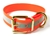 Mystique Hundehalsband Biothane (Messing), reflex-orange